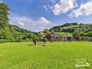 Paddock- click for photo gallery